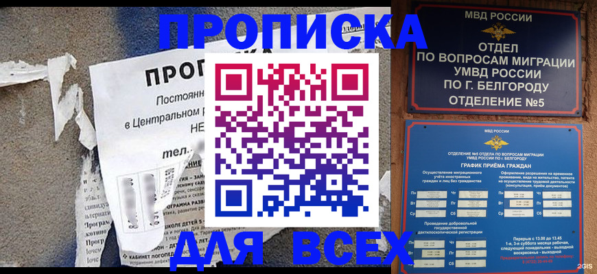 прописка в районе школы в Невеле